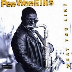 Pee Wee Ellis - What You Like